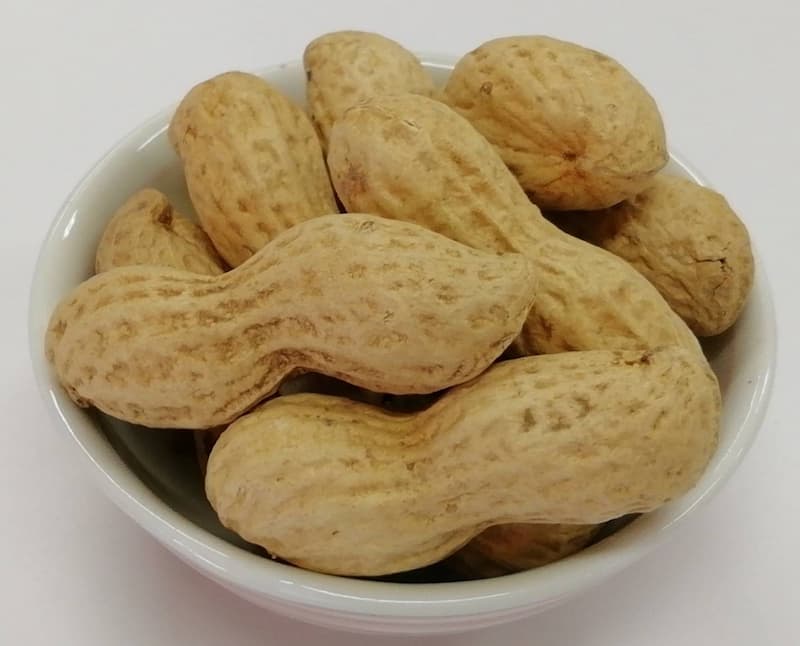 中手豊≪八街産≫