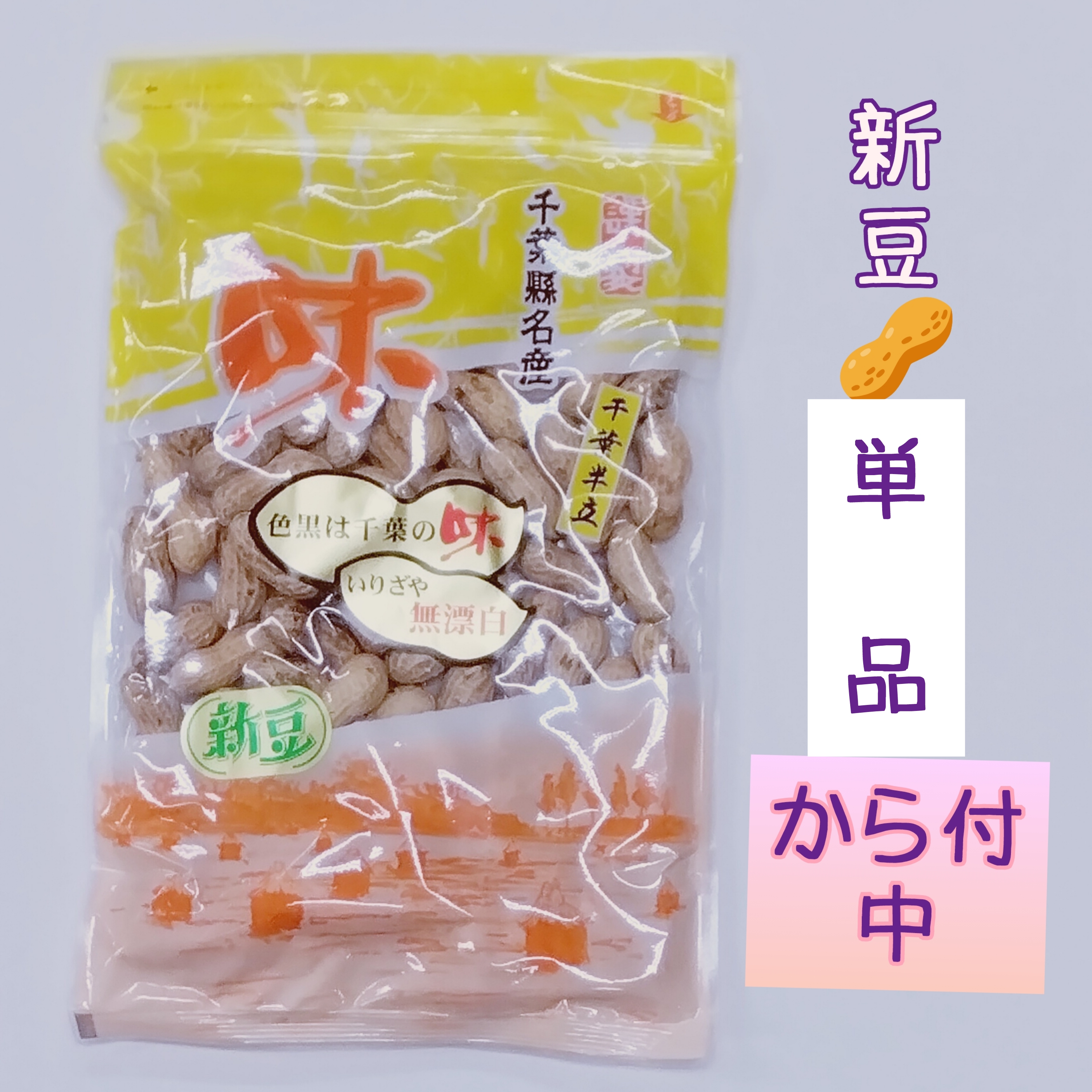 新豆　から付落花生(千葉半立)中